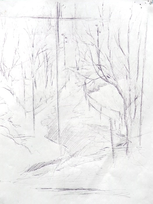 'Brooklyn Views'.......Ballpoint pen on paper