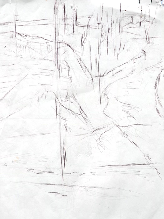 'Brooklyn Views'.......Ballpoint pen on paper