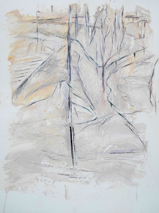   'Brooklyn Park' 3 