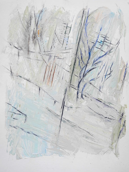   'Brooklyn Park' 4 
