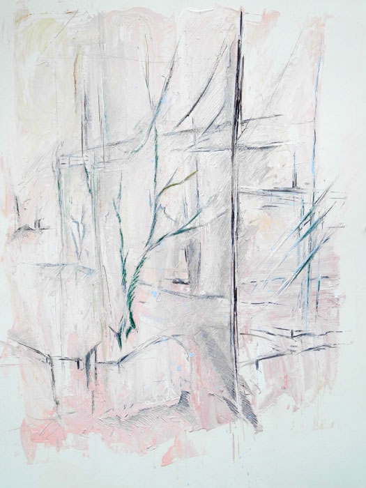   'Brooklyn Park' 5 